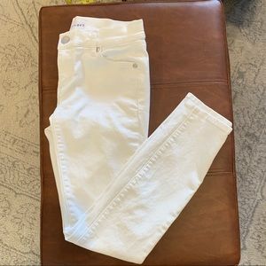 LOFT Modern Skinny Jeans